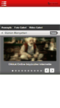 Mobile Screenshot of batmandogus.com